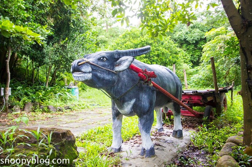 【屏東景點】墾丁親子景點|阿信巧克力農場~巧克力生態DIY、夜探梅花鹿,餵小鹿喝奶,好玩有趣的親子生態體驗