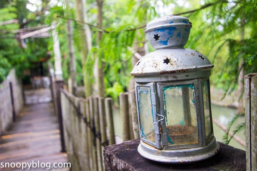 【屏東景點】墾丁親子景點|阿信巧克力農場~巧克力生態DIY、夜探梅花鹿,餵小鹿喝奶,好玩有趣的親子生態體驗