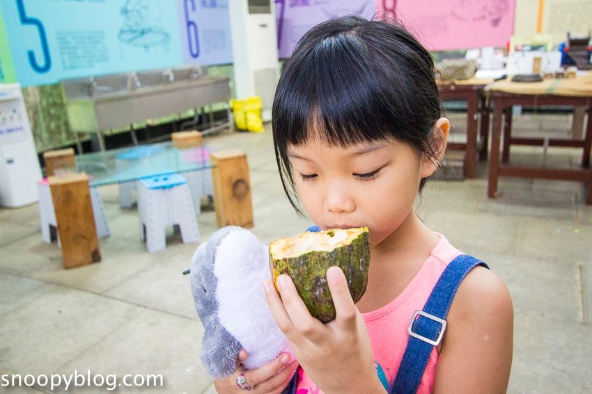 【屏東景點】墾丁親子景點|阿信巧克力農場~巧克力生態DIY、夜探梅花鹿,餵小鹿喝奶,好玩有趣的親子生態體驗