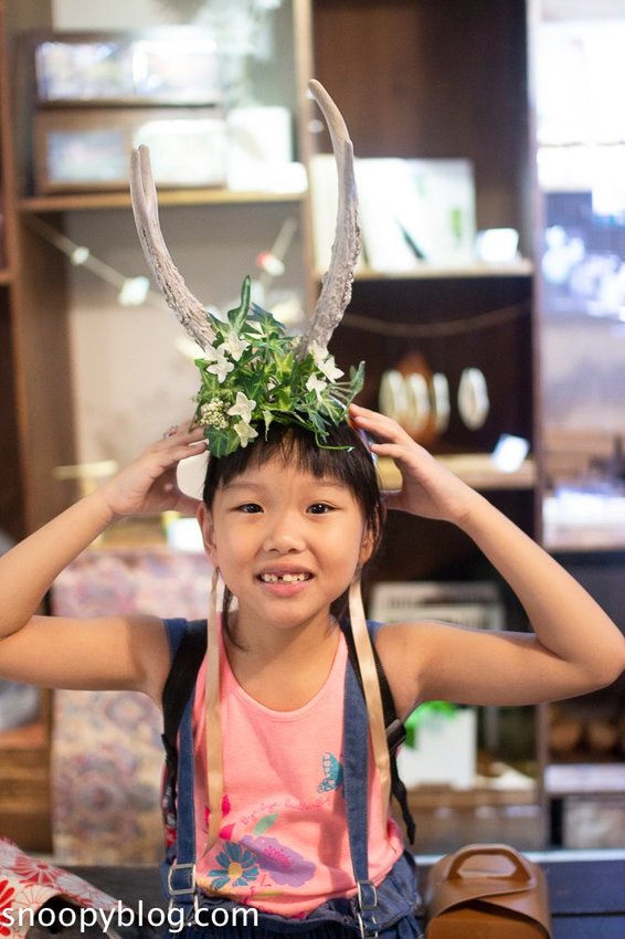 【屏東景點】墾丁親子景點|阿信巧克力農場~巧克力生態DIY、夜探梅花鹿,餵小鹿喝奶,好玩有趣的親子生態體驗