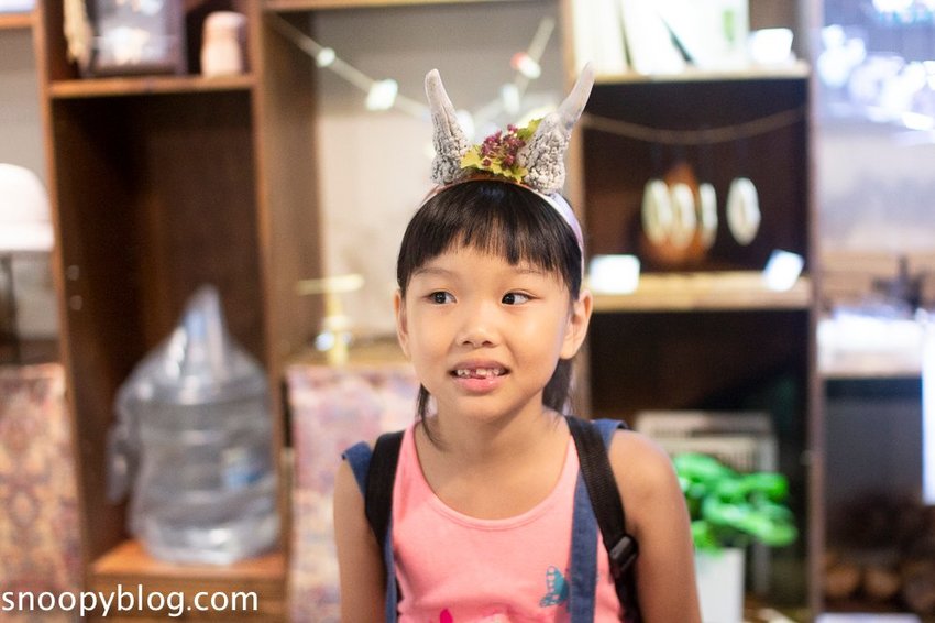 【屏東景點】墾丁親子景點|阿信巧克力農場~巧克力生態DIY、夜探梅花鹿,餵小鹿喝奶,好玩有趣的親子生態體驗