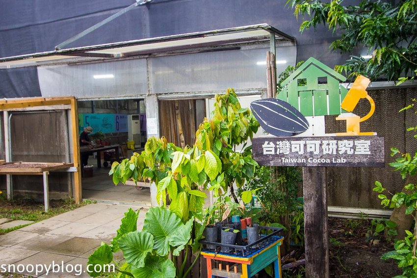 【屏東景點】墾丁親子景點|阿信巧克力農場~巧克力生態DIY、夜探梅花鹿,餵小鹿喝奶,好玩有趣的親子生態體驗