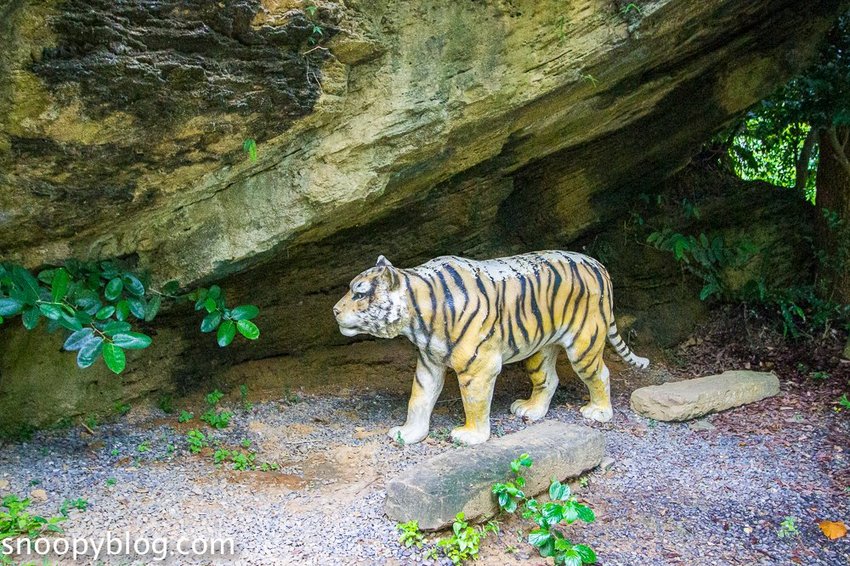 【屏東景點】墾丁親子景點|阿信巧克力農場~巧克力生態DIY、夜探梅花鹿,餵小鹿喝奶,好玩有趣的親子生態體驗