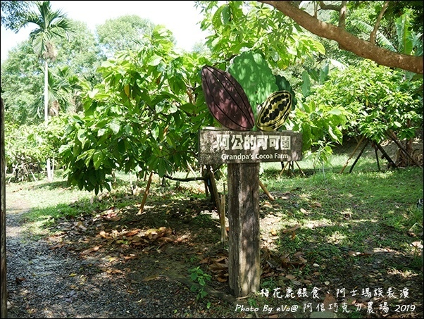 阿信巧克力農場-16.jpg
