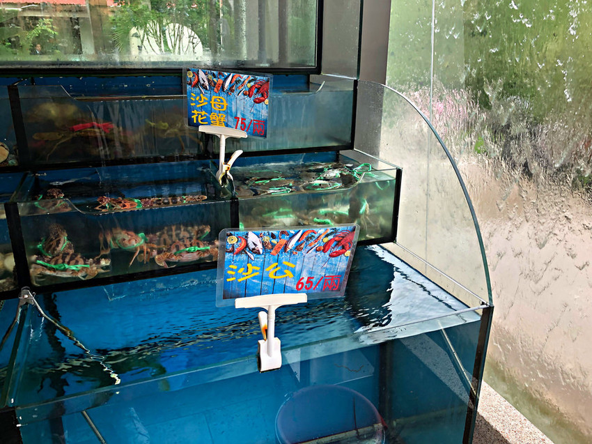 【淡水】新北淡水海鮮餐廳；小家庭聚餐；宴會餐廳；尾牙聚餐─富基采儷婚宴會館