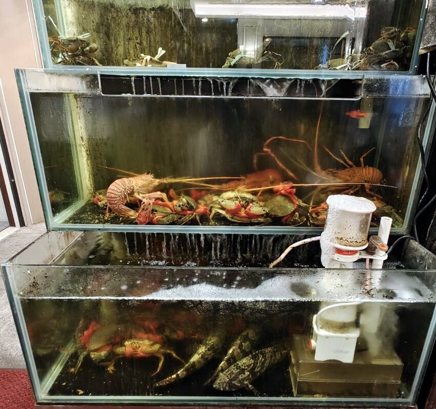 【台中西屯】富彩軒．連三年米其林餐盤推薦!傳承經典粵菜好手藝!