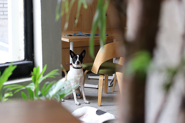 August_30.JPG August_30.JPG