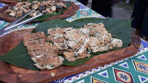 38277353_1900574239963787_5152209340551135232_n 38277353_1900574239963787_5152209340551135232_n