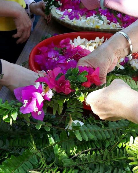 38458626_632863750429903_5746197493612281856_n 38458626_632863750429903_5746197493612281856_n