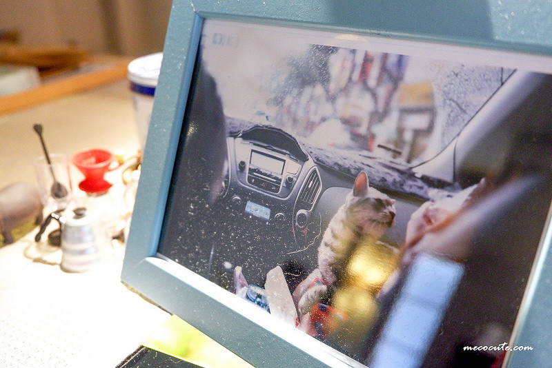 @陳小可的吃喝玩樂