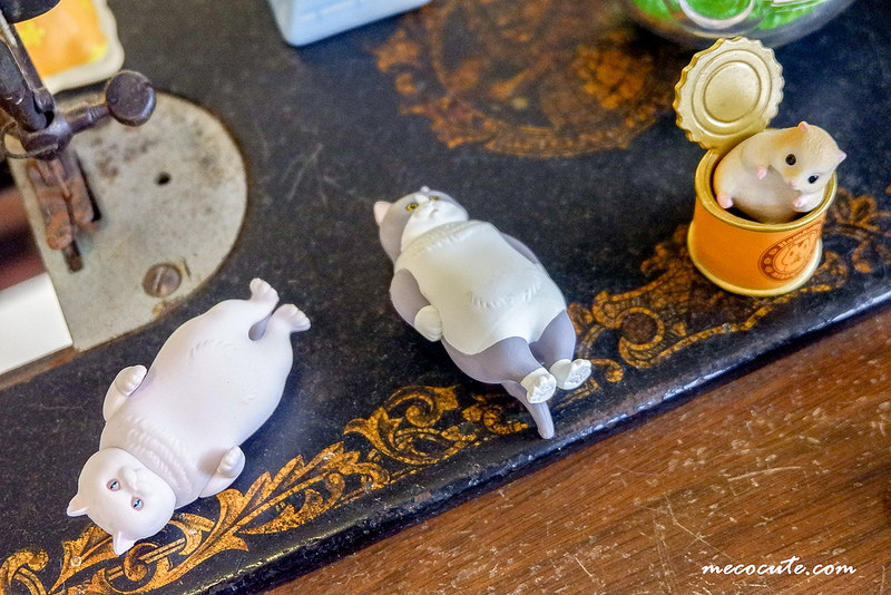 @陳小可的吃喝玩樂