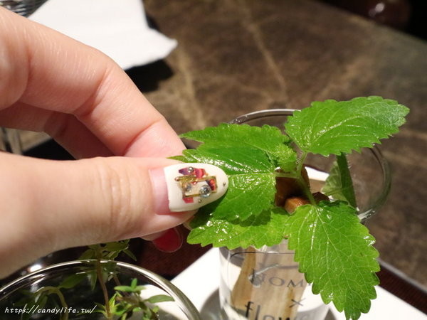 花吧 Flower8:台中美食│花吧 flower8〃超美香草火鍋,將食用花倒入鍋中,繽紛創意,顛覆你的想像~