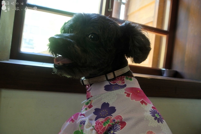 成真咖啡寵物友善日式餐廳.jpg 成真咖啡寵物友善日式餐廳.jpg