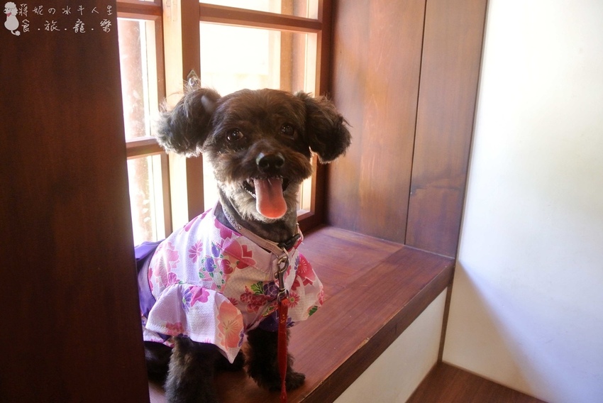 成真咖啡寵物友善.jpg 成真咖啡寵物友善.jpg