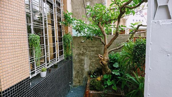 38920212_2004912209540458_9165689767076036608_n