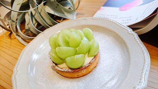 74591683_2706408099390862_732293568940474368_n 74591683_2706408099390862_732293568940474368_n