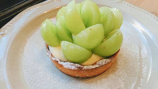 73523556_2706408266057512_7607492713172172800_n