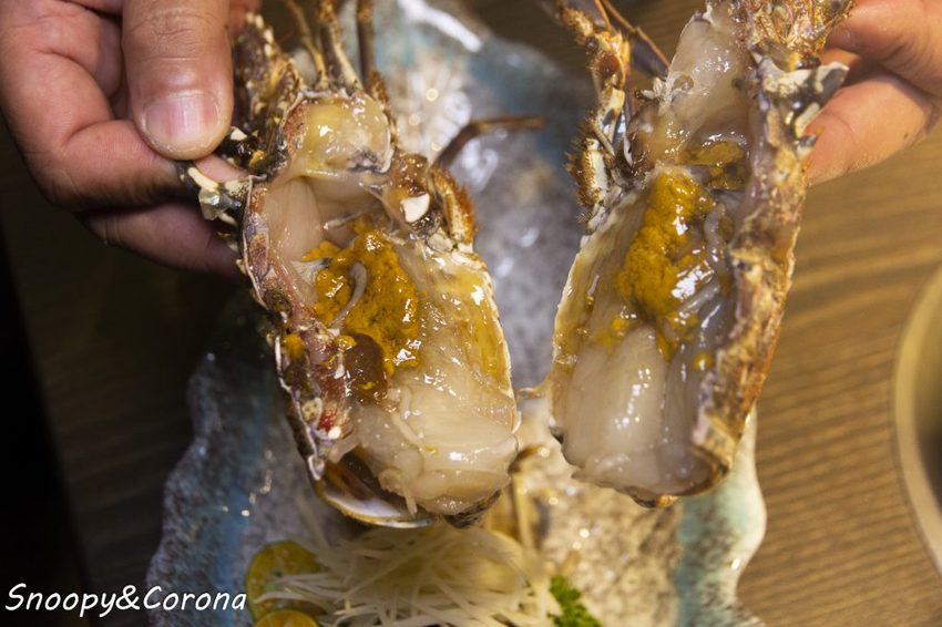 【吃喝．新北】蘆洲火鍋／極禾優質鍋物～近捷運徐匯中學站，無肉不歡、海鮮重症者皆能吃得好滿足