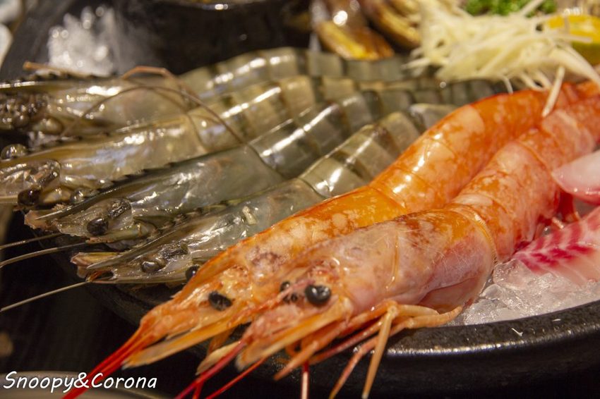 【吃喝．新北】蘆洲火鍋／極禾優質鍋物～近捷運徐匯中學站，無肉不歡、海鮮重症者皆能吃得好滿足