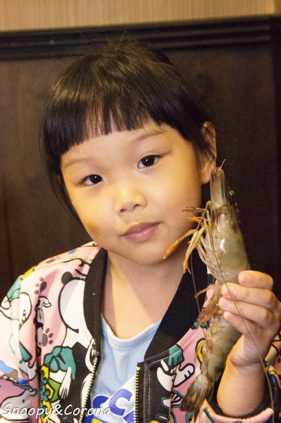 【吃喝．新北】蘆洲火鍋／極禾優質鍋物～近捷運徐匯中學站，無肉不歡、海鮮重症者皆能吃得好滿足