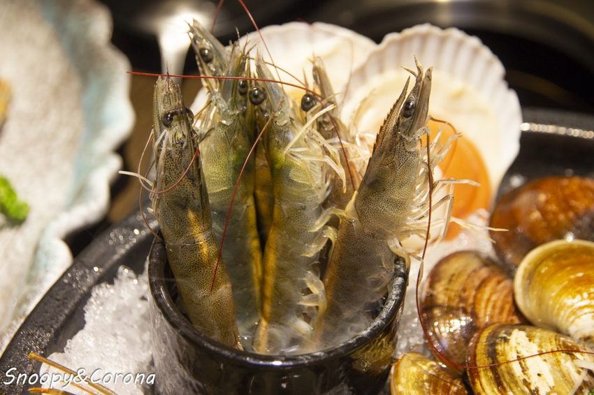 【吃喝．新北】蘆洲火鍋／極禾優質鍋物～近捷運徐匯中學站，無肉不歡、海鮮重症者皆能吃得好滿足