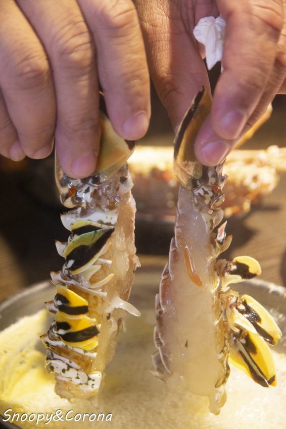 【吃喝．新北】蘆洲火鍋／極禾優質鍋物～近捷運徐匯中學站，無肉不歡、海鮮重症者皆能吃得好滿足