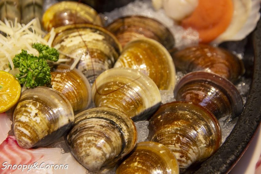 【吃喝．新北】蘆洲火鍋／極禾優質鍋物～近捷運徐匯中學站，無肉不歡、海鮮重症者皆能吃得好滿足