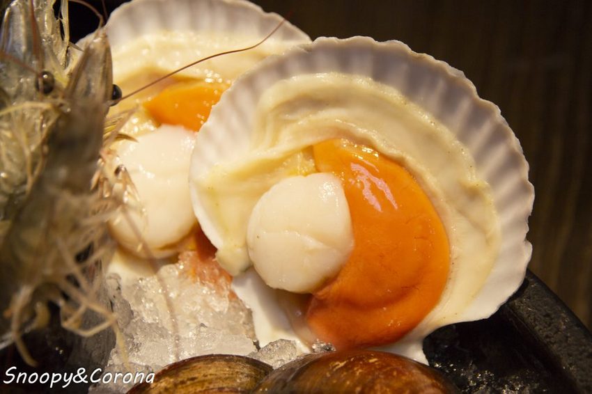 【吃喝．新北】蘆洲火鍋／極禾優質鍋物～近捷運徐匯中學站，無肉不歡、海鮮重症者皆能吃得好滿足