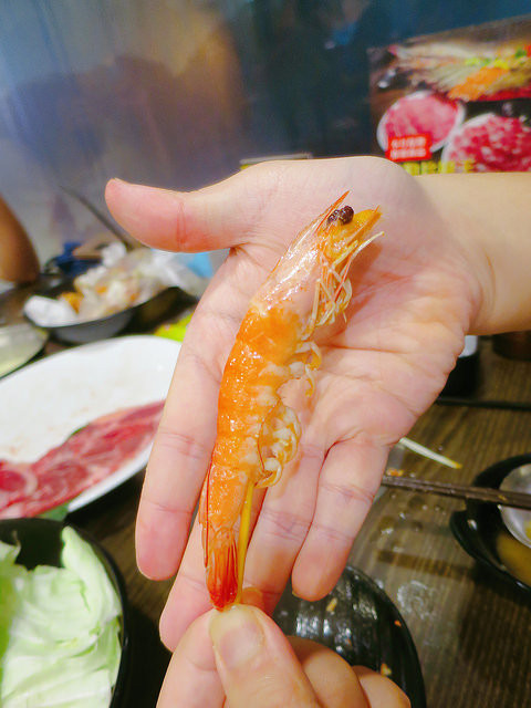 極禾優質鍋物-蘆洲店 (9)