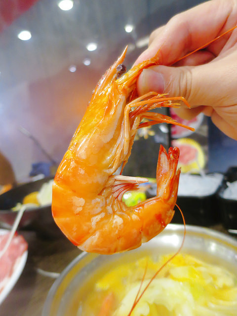 極禾優質鍋物-蘆洲店 (77)