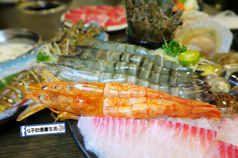 蘆洲火鍋 極禾優質鍋物蘆洲店 超值海陸雙人餐 海鮮豐富 台灣鯛魚.大蛤蜊.扇貝.天使紅蝦.海大蝦