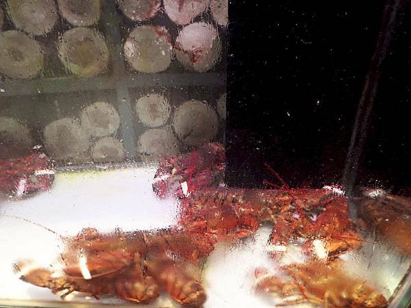 美食 ░ 高雄火鍋【舞古賀鍋物】bukogashabushabu瑞豐夜市頂級海鮮x高檔肉品和牛吃到飽,饕客們推廣的火鍋首選!