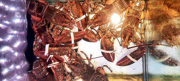 美食 ░ 高雄火鍋【舞古賀鍋物】bukogashabushabu瑞豐夜市頂級海鮮x高檔肉品和牛吃到飽,饕客們推廣的火鍋首選!