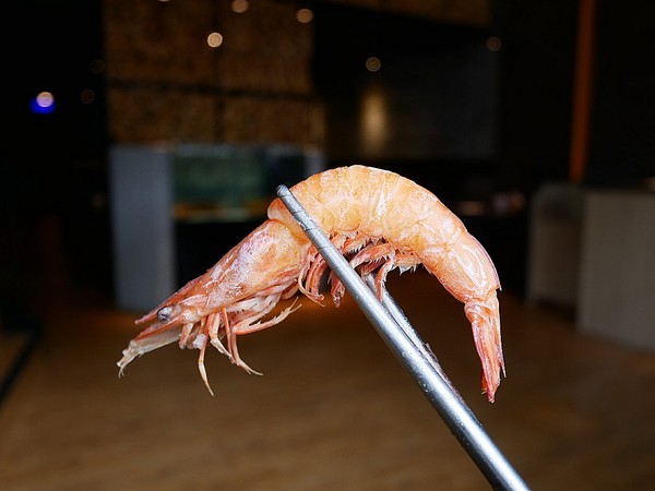 舞古賀鍋物專門店:舞古賀鍋物專門店-高雄鼓山巨蛋站海鮮火鍋 店內主打高檔食材 螃蟹和牛都享用得到 約會聚餐衝一波