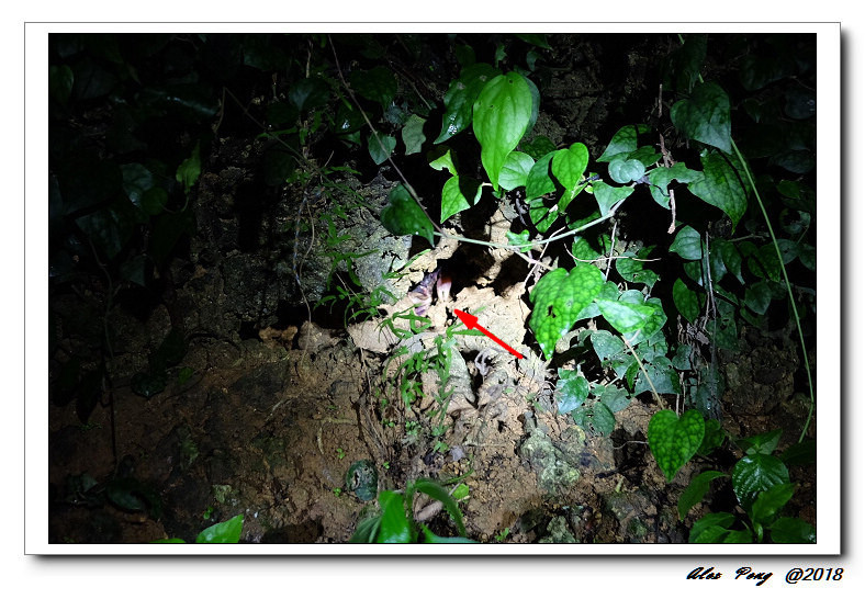 c92713593dad11fc8b956d573c8d883f9_21028604_180816_0107