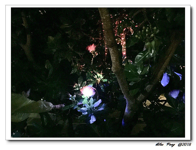 c92713593dad11fc8b956d573c8d883f9_21028604_180816_0101