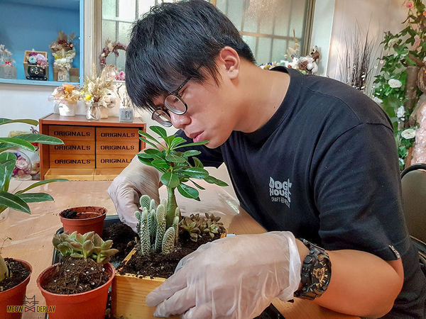 南投埔里『多肉秘境』手做親子ＤＩＹ｜雨天景點來這裡｜新手輕鬆做｜製作故事盆栽｜夢幻泡泡屋｜免費參觀