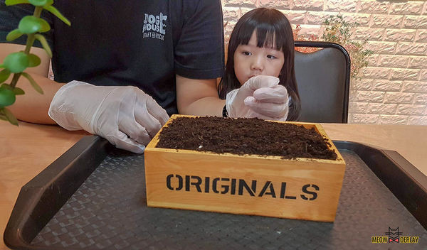 南投埔里『多肉秘境』手做親子ＤＩＹ｜雨天景點來這裡｜新手輕鬆做｜製作故事盆栽｜夢幻泡泡屋｜免費參觀