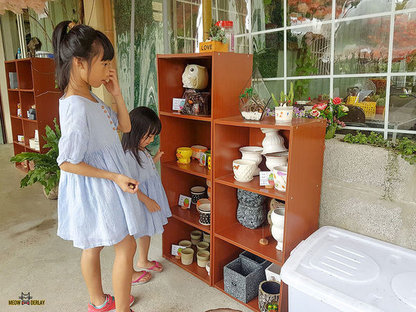 南投埔里『多肉秘境』手做親子ＤＩＹ｜雨天景點來這裡｜新手輕鬆做｜製作故事盆栽｜夢幻泡泡屋｜免費參觀