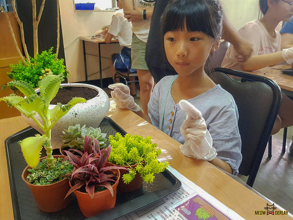 南投埔里『多肉秘境』手做親子ＤＩＹ｜雨天景點來這裡｜新手輕鬆做｜製作故事盆栽｜夢幻泡泡屋｜免費參觀
