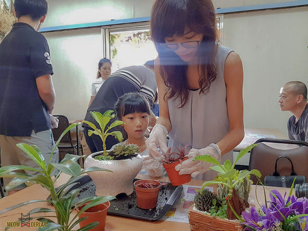南投埔里『多肉秘境』手做親子ＤＩＹ｜雨天景點來這裡｜新手輕鬆做｜製作故事盆栽｜夢幻泡泡屋｜免費參觀