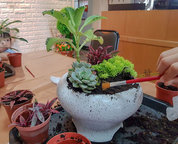 南投埔里『多肉秘境』手做親子ＤＩＹ｜雨天景點來這裡｜新手輕鬆做｜製作故事盆栽｜夢幻泡泡屋｜免費參觀