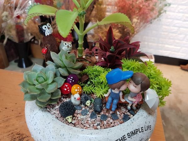 南投埔里『多肉秘境』手做親子ＤＩＹ｜雨天景點來這裡｜新手輕鬆做｜製作故事盆栽｜夢幻泡泡屋｜免費參觀