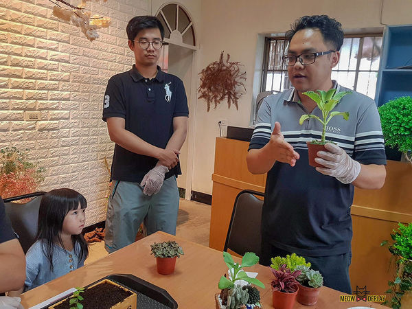 南投埔里『多肉秘境』手做親子ＤＩＹ｜雨天景點來這裡｜新手輕鬆做｜製作故事盆栽｜夢幻泡泡屋｜免費參觀