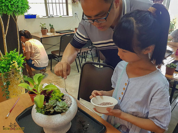 南投埔里『多肉秘境』手做親子ＤＩＹ｜雨天景點來這裡｜新手輕鬆做｜製作故事盆栽｜夢幻泡泡屋｜免費參觀