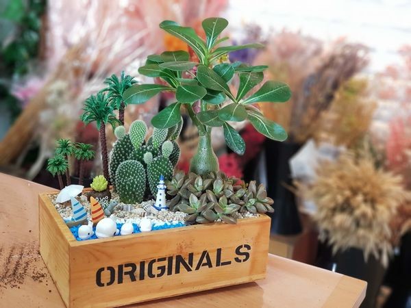 南投埔里『多肉秘境』手做親子ＤＩＹ｜雨天景點來這裡｜新手輕鬆做｜製作故事盆栽｜夢幻泡泡屋｜免費參觀