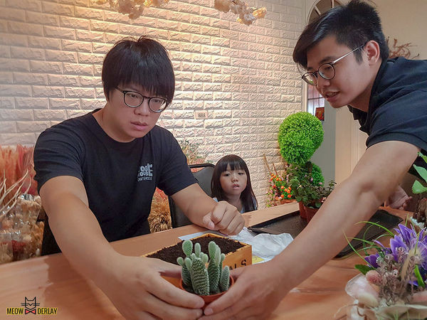 南投埔里『多肉秘境』手做親子ＤＩＹ｜雨天景點來這裡｜新手輕鬆做｜製作故事盆栽｜夢幻泡泡屋｜免費參觀
