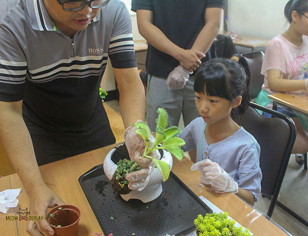 南投埔里『多肉秘境』手做親子ＤＩＹ｜雨天景點來這裡｜新手輕鬆做｜製作故事盆栽｜夢幻泡泡屋｜免費參觀