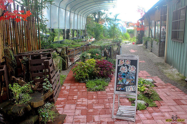 南投埔里『多肉秘境』手做親子ＤＩＹ｜雨天景點來這裡｜新手輕鬆做｜製作故事盆栽｜夢幻泡泡屋｜免費參觀