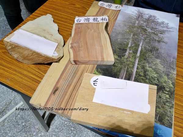 宜蘭景點推薦【宜蘭人故事館】#原木手作筆DIY #PIZZA DIY #宜蘭親子餐廳 #宜蘭一日遊 #宜蘭必吃美食 #宜蘭室內景點 #宜蘭手工DIY體驗 (14).JPG